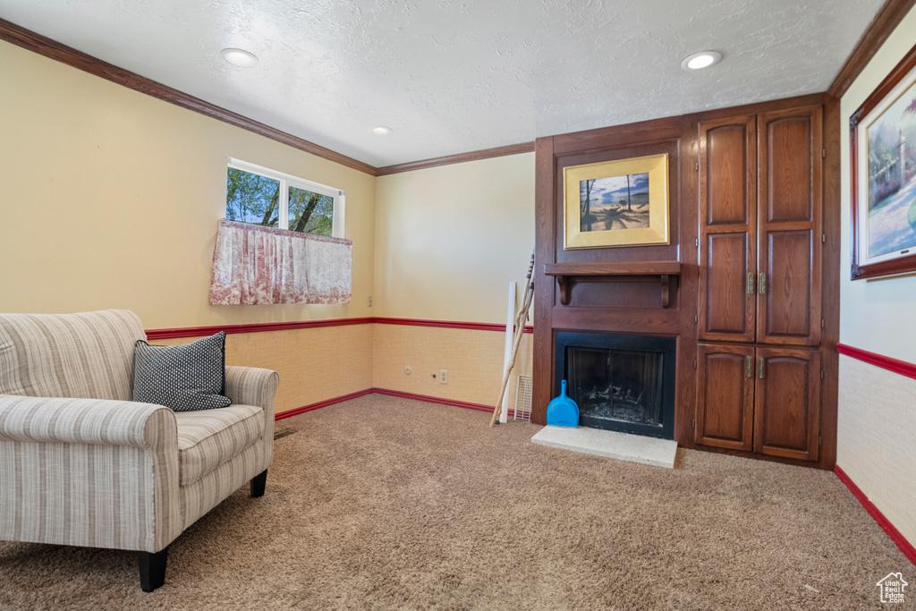 Living area featuring carpet flooring, crown molding, a textured ceiling, and a fireplace
