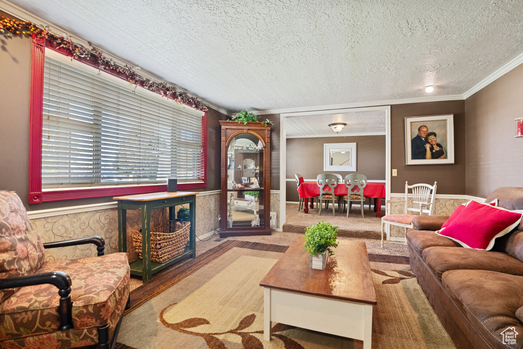 Living room featuring ornamental molding, carpet flooring, a fireplace, and a textured ceiling