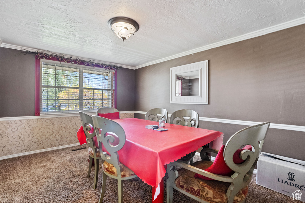 Carpeted dining area with crown molding and a textured ceiling