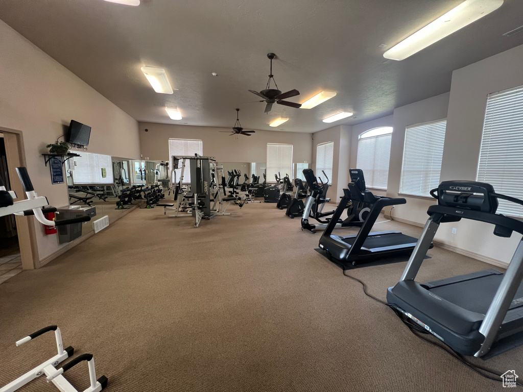 Exercise room featuring ceiling fan and carpet floors