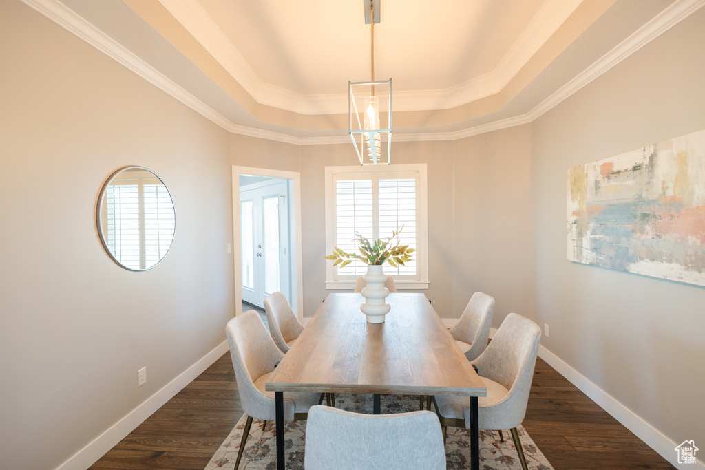 Dining room featuring a raised ceiling, dark wood-type flooring, and crown molding