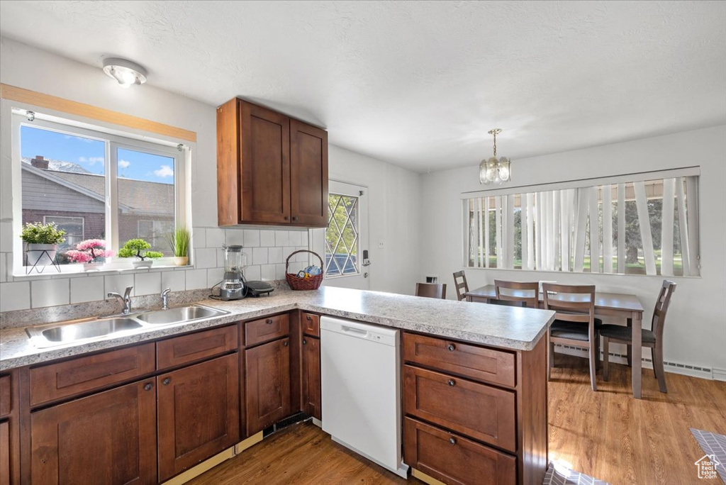 Kitchen with sink, dishwasher, light hardwood / wood-style flooring, and a wealth of natural light