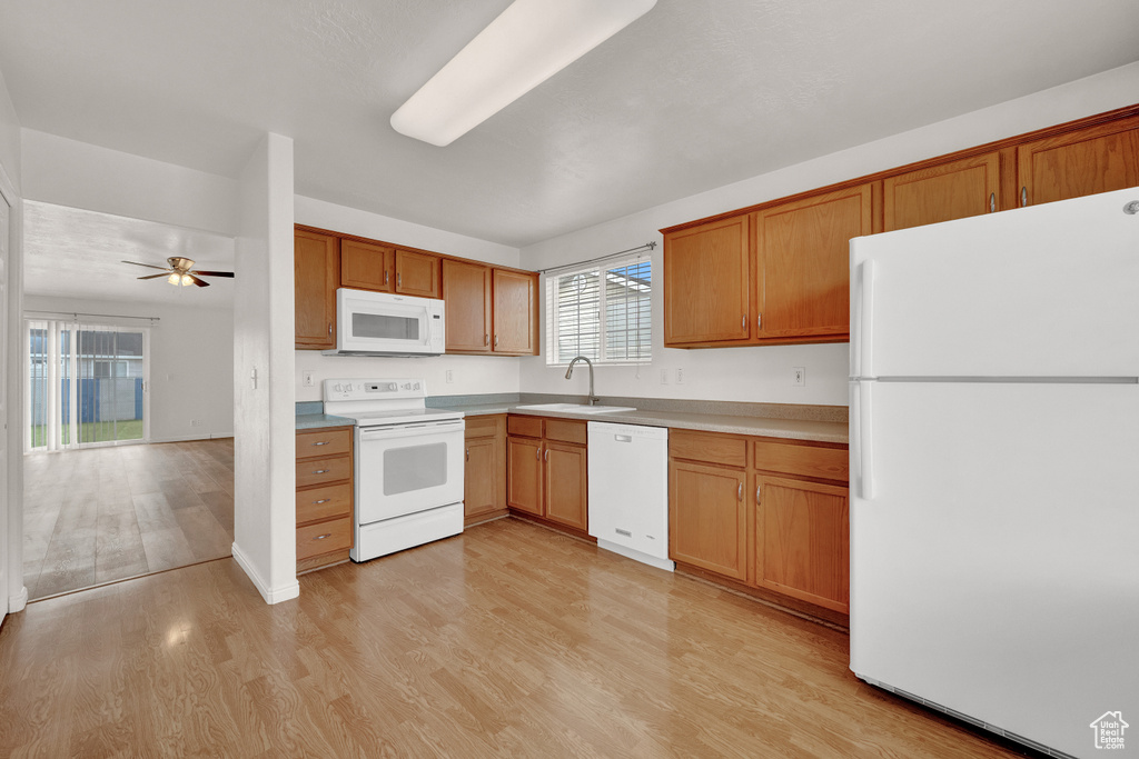 Kitchen featuring sink, white appliances, ceiling fan, and light wood-type flooring
