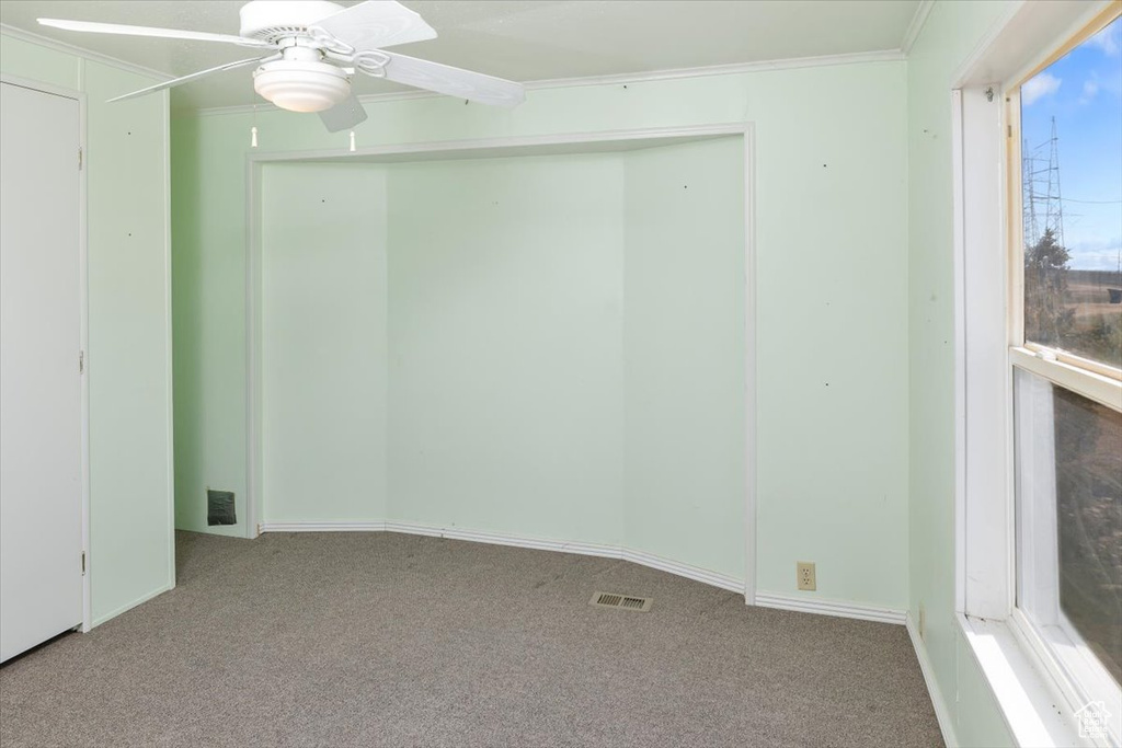 Spare room featuring crown molding, ceiling fan, and carpet floors