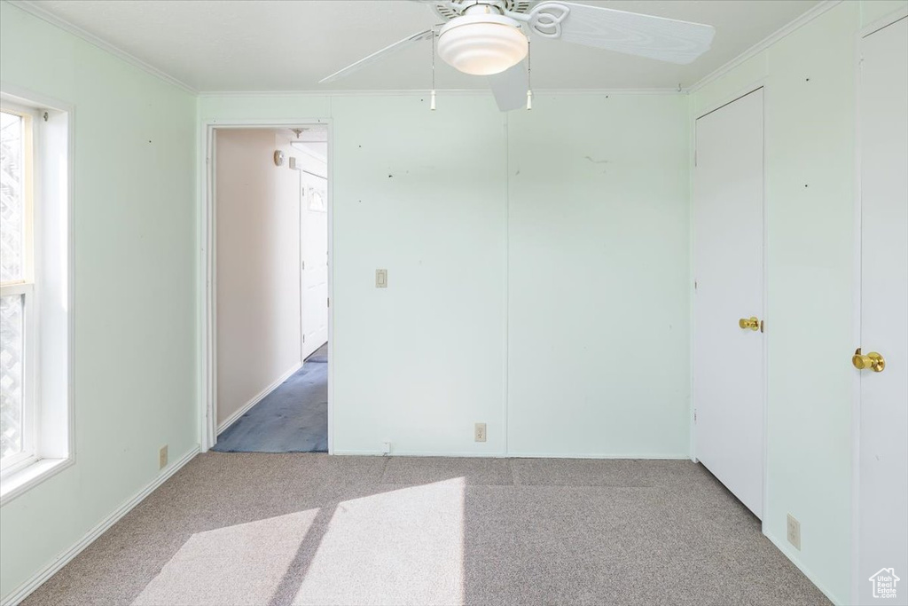 Carpeted spare room featuring a wealth of natural light, crown molding, and ceiling fan