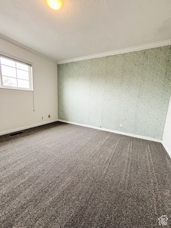 Empty room with ornamental molding and carpet floors
