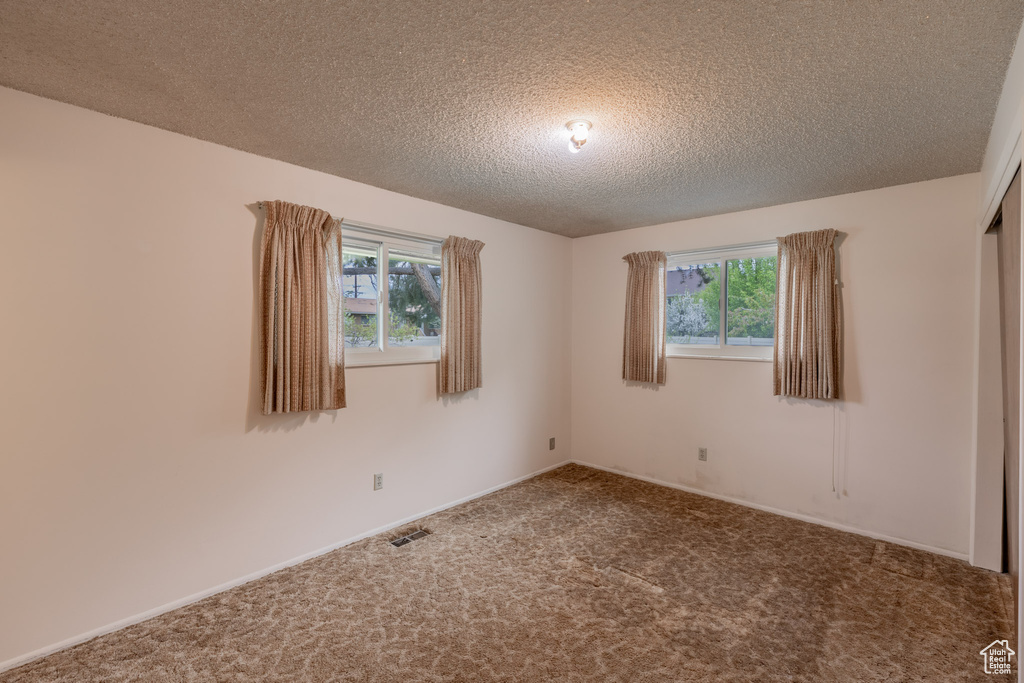 Carpeted empty room featuring a wealth of natural light and a textured ceiling
