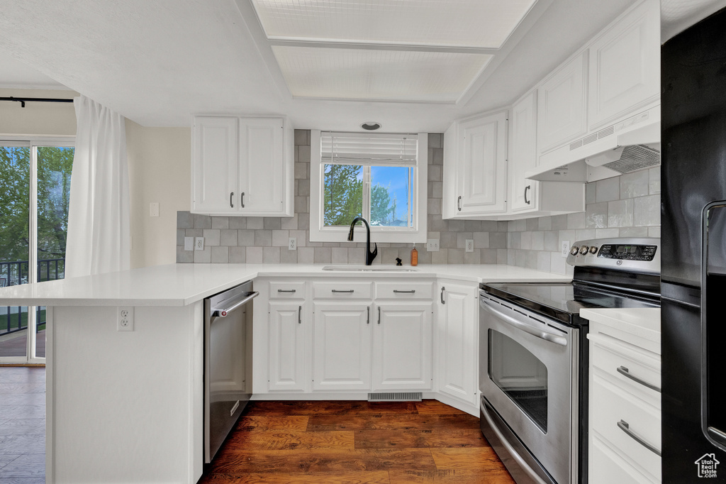 Kitchen with a healthy amount of sunlight, dark hardwood / wood-style flooring, stainless steel appliances, and sink