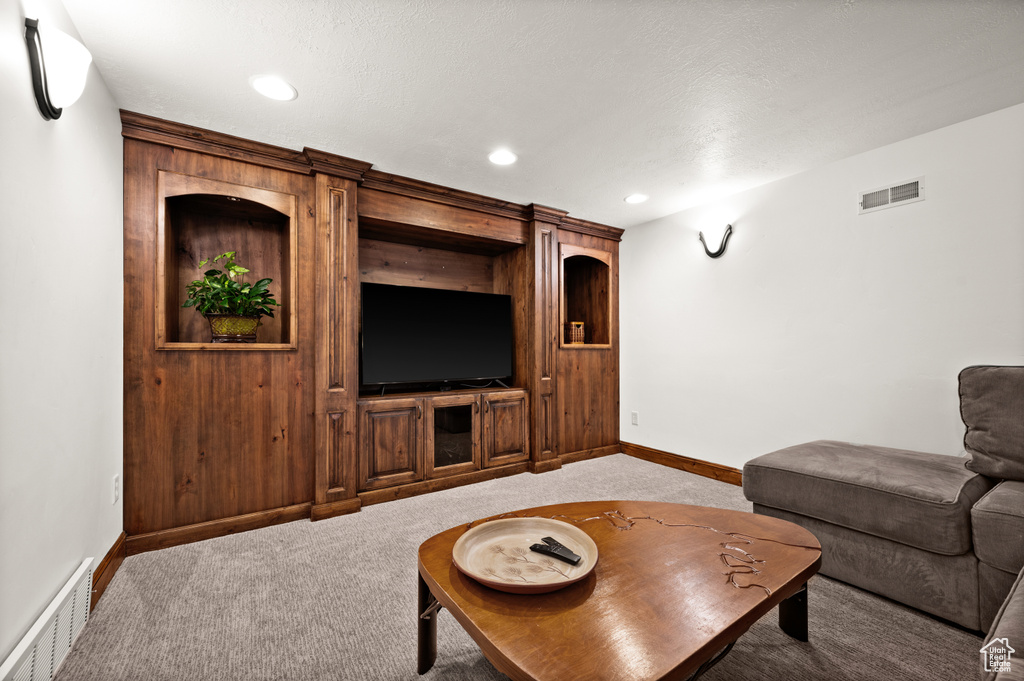 Carpeted living room with built in features