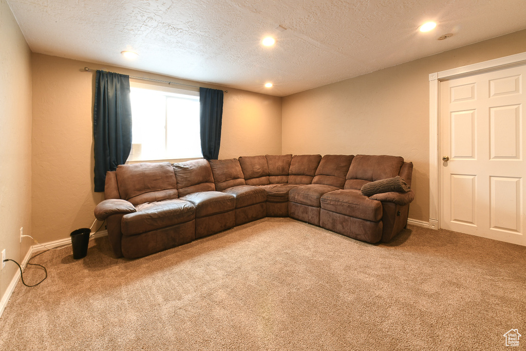 Living room with carpet floors and a textured ceiling