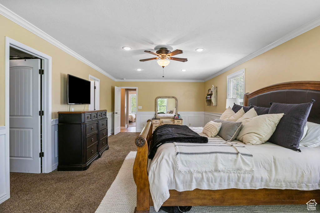 Carpeted bedroom with ornamental molding, ceiling fan, and multiple windows