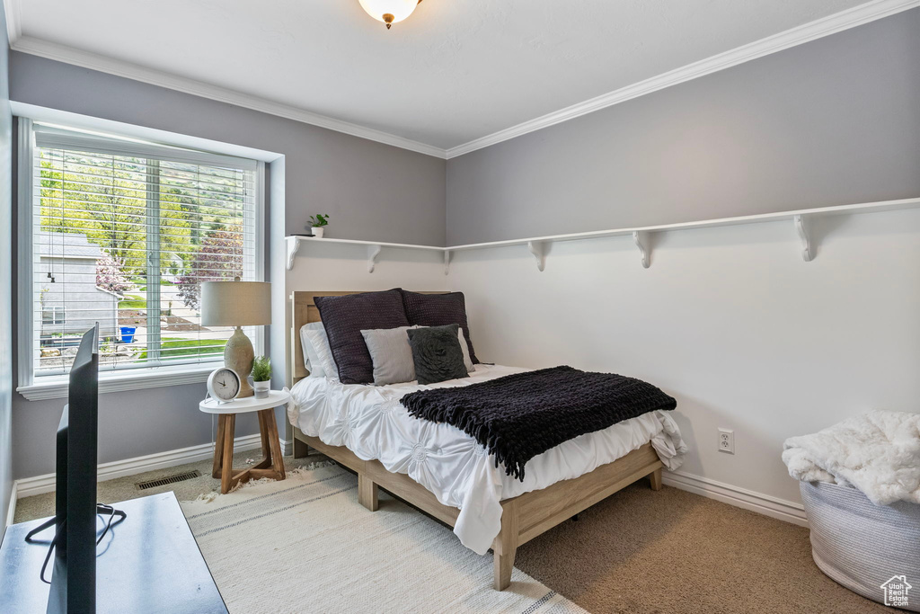 Carpeted bedroom featuring crown molding and multiple windows