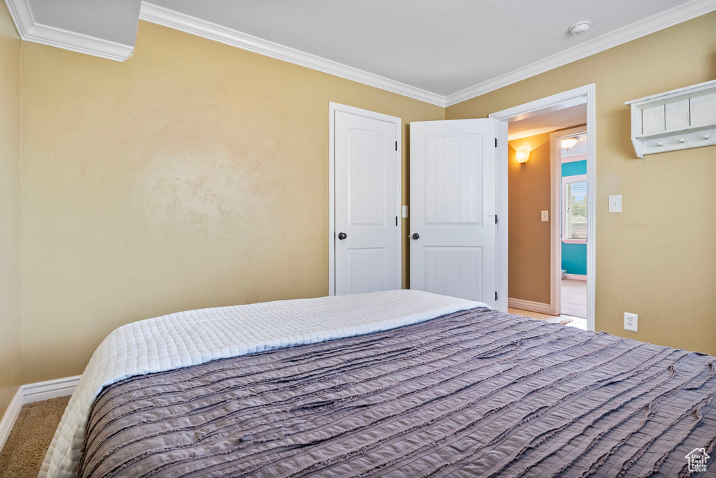 Bedroom featuring ornamental molding, carpet, and a closet