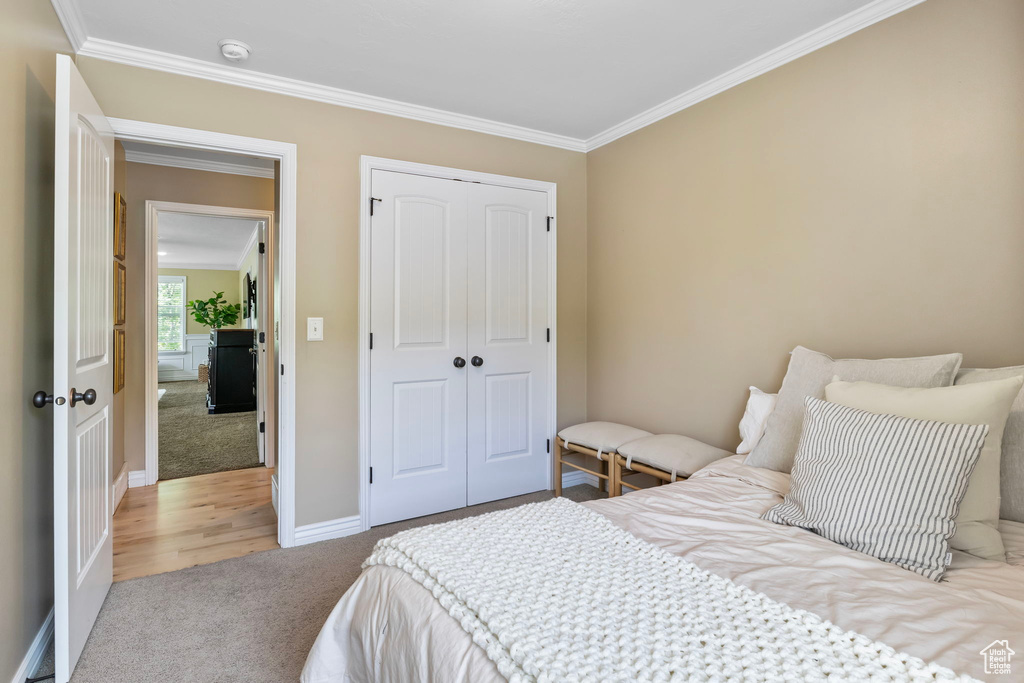 Bedroom with a closet, crown molding, and carpet flooring