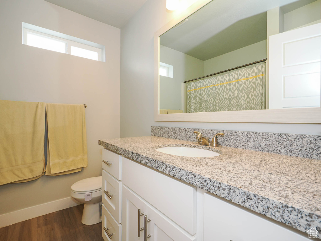 Bathroom featuring wood-type flooring, toilet, and large vanity