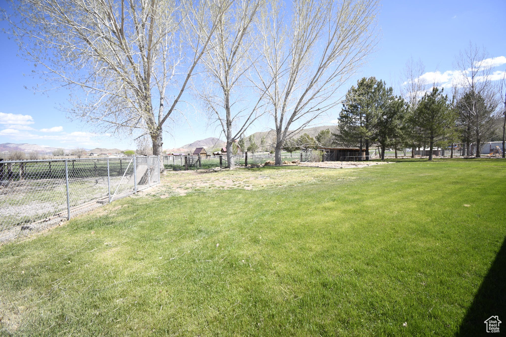 View of yard with a rural view