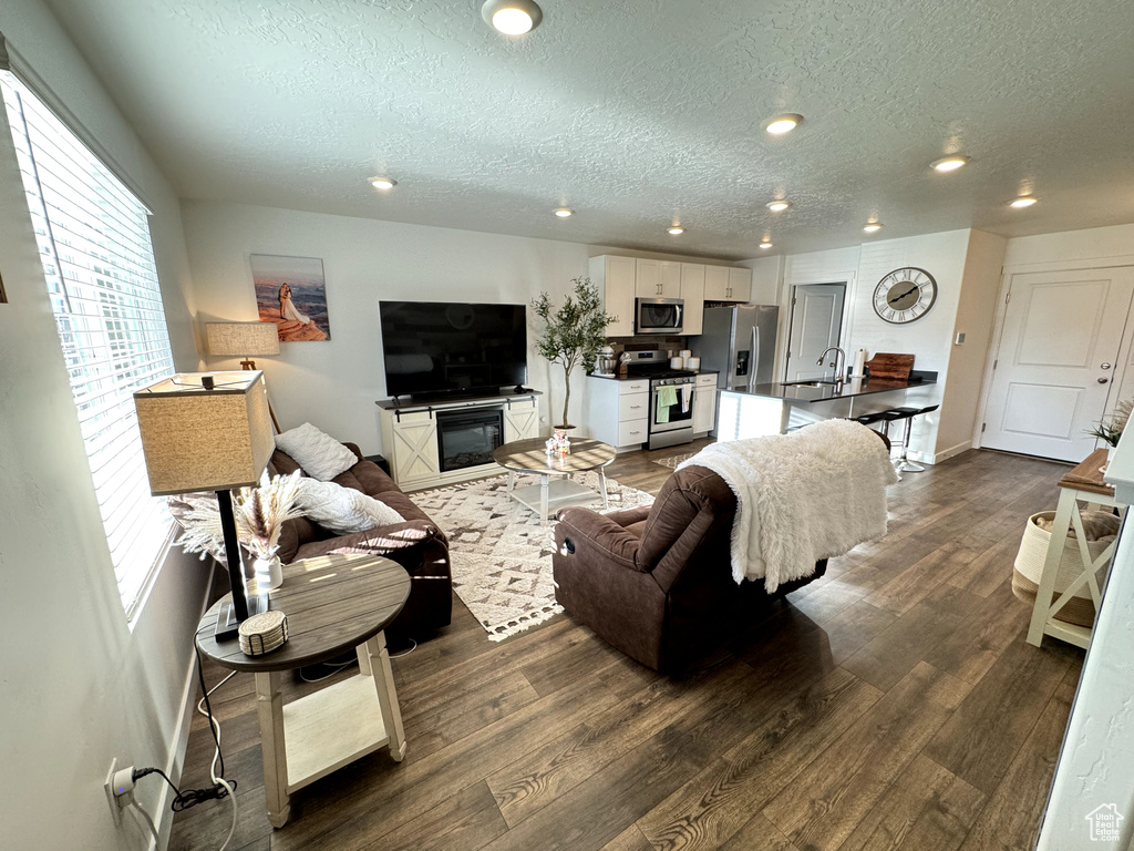 Living room featuring hardwood / wood-style flooring, a textured ceiling, and sink