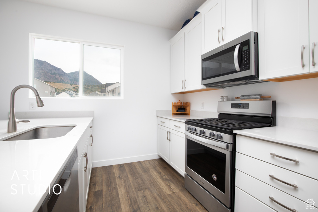 Kitchen with a mountain view, dark hardwood / wood-style floors, white cabinetry, appliances with stainless steel finishes, and sink