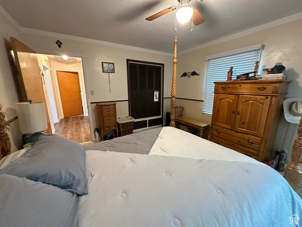 Bedroom featuring ornamental molding, ceiling fan, and light hardwood / wood-style flooring