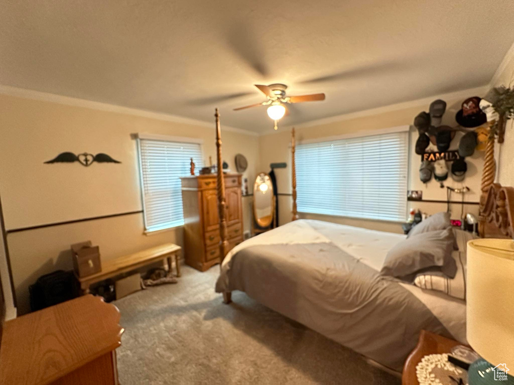 Bedroom featuring crown molding, carpet, and ceiling fan
