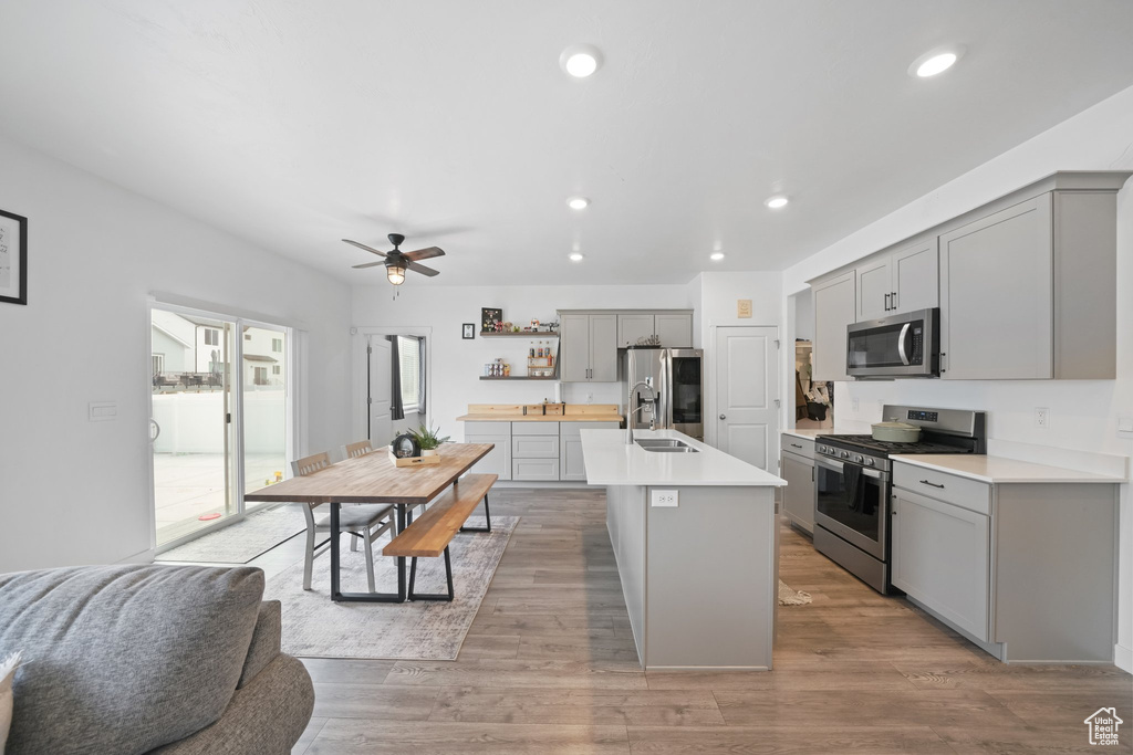 Kitchen featuring light wood-type flooring, gray cabinetry, appliances with stainless steel finishes, a center island with sink, and ceiling fan