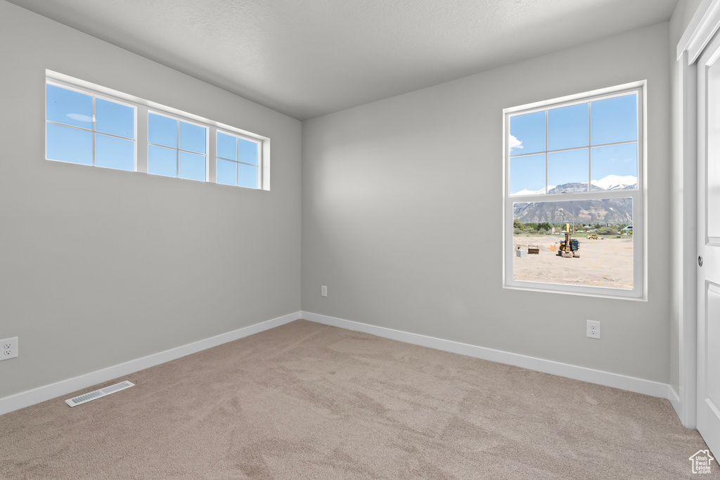 Empty room featuring a wealth of natural light, a mountain view, and carpet floors