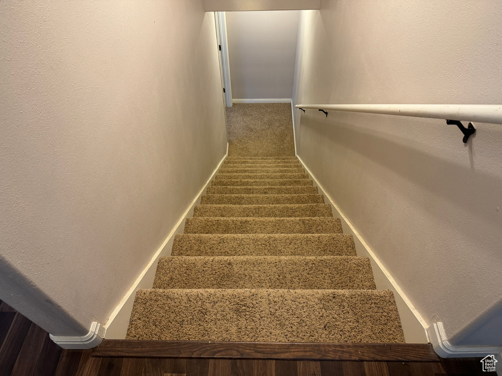 Stairway featuring carpet