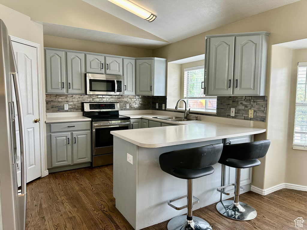 Kitchen featuring backsplash, lofted ceiling, stainless steel appliances, and dark hardwood / wood-style floors