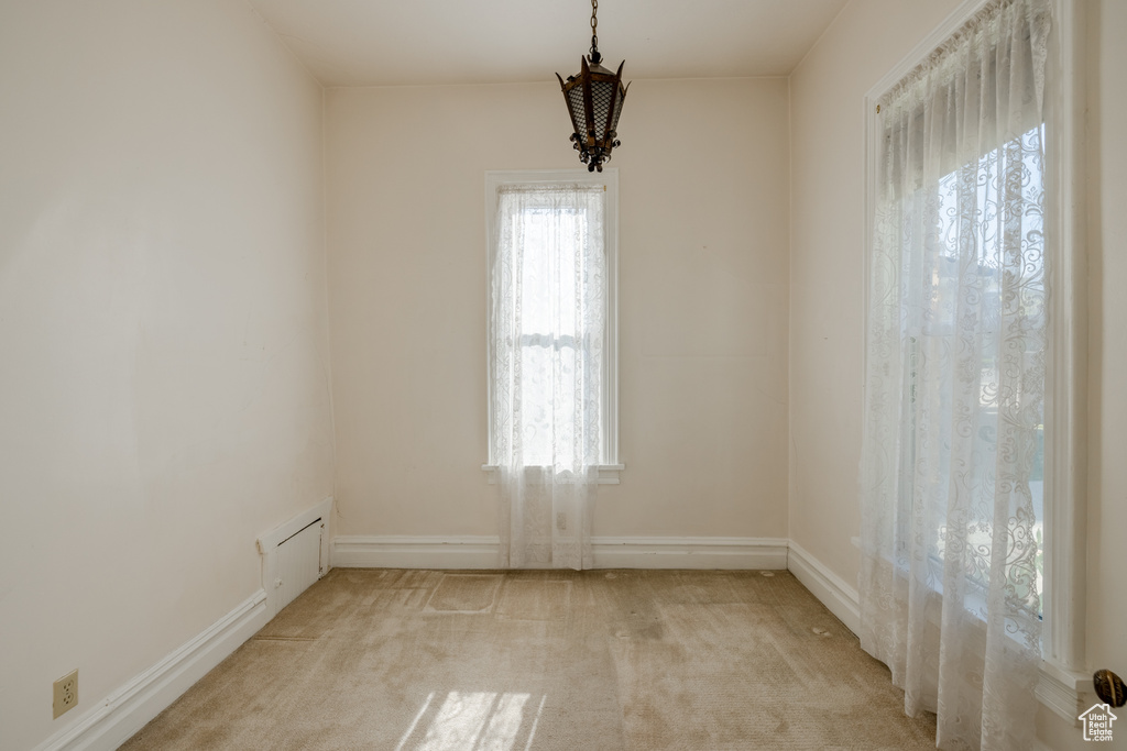 Carpeted spare room featuring a wealth of natural light