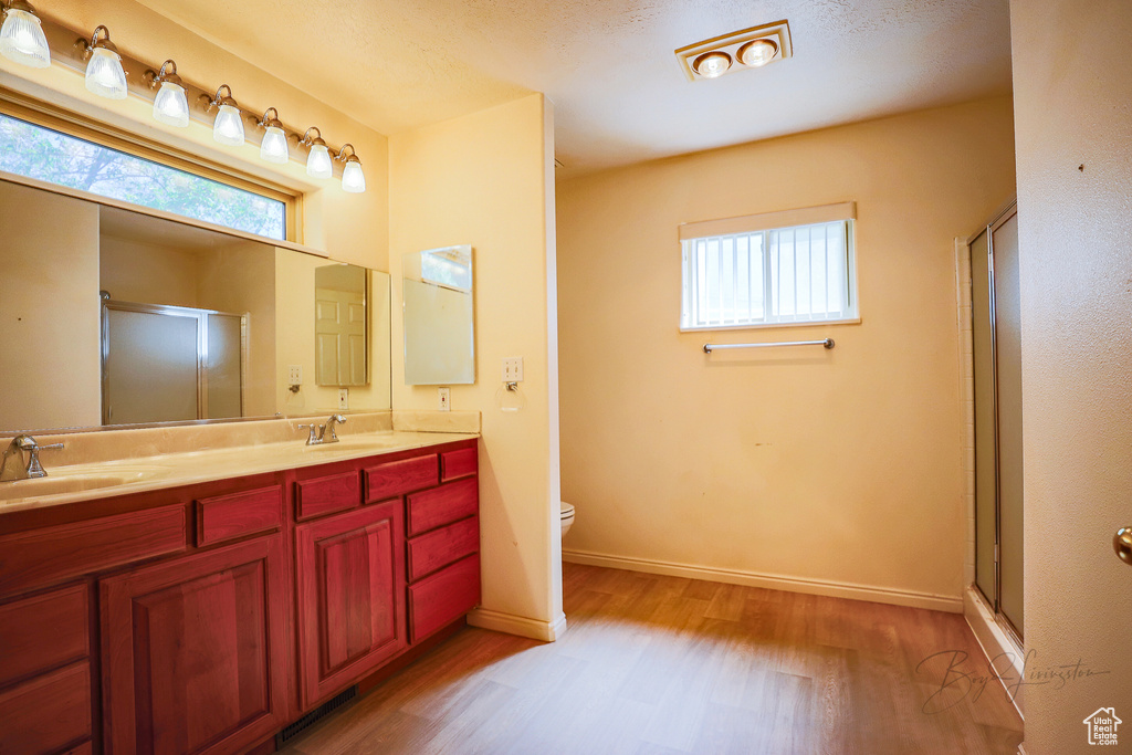 Bathroom featuring double sink vanity, a healthy amount of sunlight, hardwood / wood-style flooring, and toilet