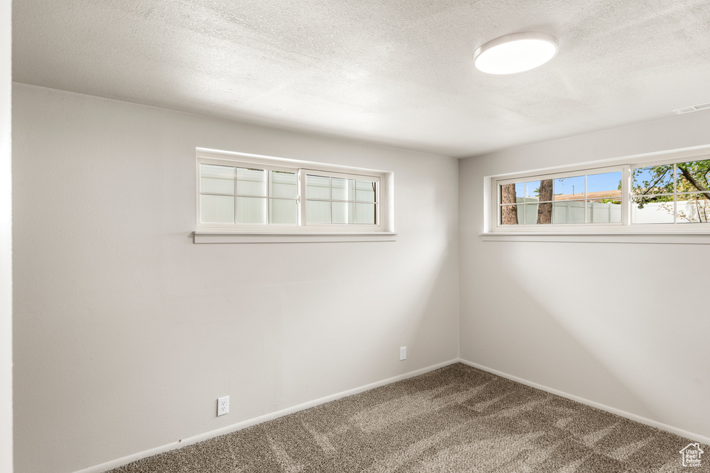 Carpeted empty room featuring a wealth of natural light and a textured ceiling