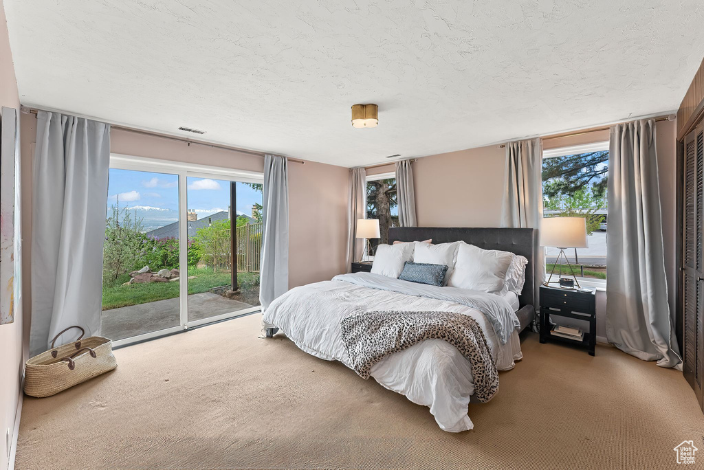 Carpeted bedroom with a textured ceiling and access to exterior