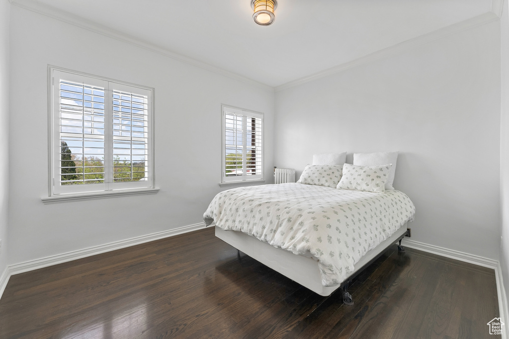 Bedroom featuring ornamental molding, dark hardwood / wood-style flooring, and multiple windows