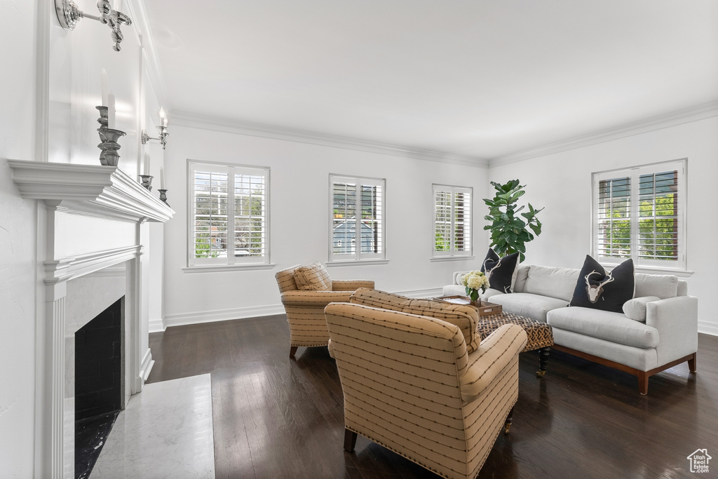 Living room with a wealth of natural light, ornamental molding, dark hardwood / wood-style floors, and a fireplace