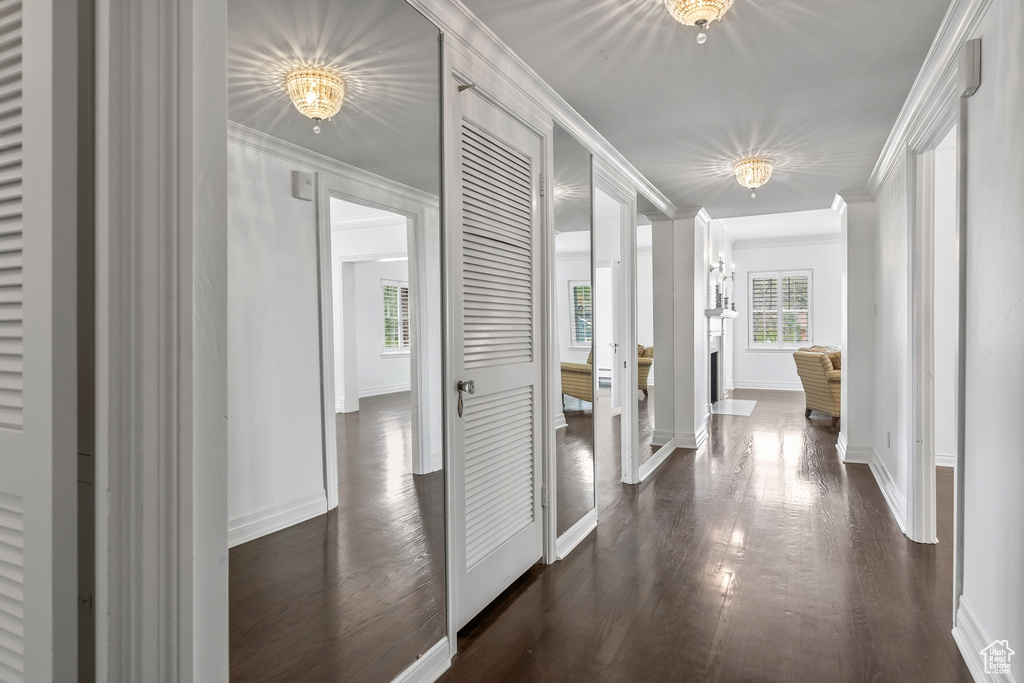 Hall with crown molding and dark hardwood / wood-style floors