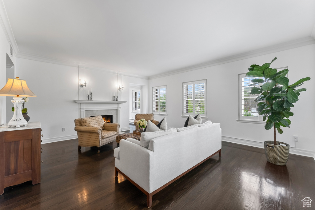Living room with dark hardwood / wood-style flooring and ornamental molding