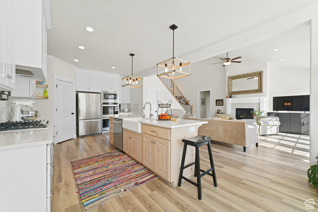 Kitchen featuring appliances with stainless steel finishes, sink, light hardwood / wood-style floors, and a tile fireplace