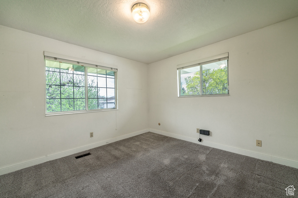 Spare room featuring plenty of natural light and carpet floors