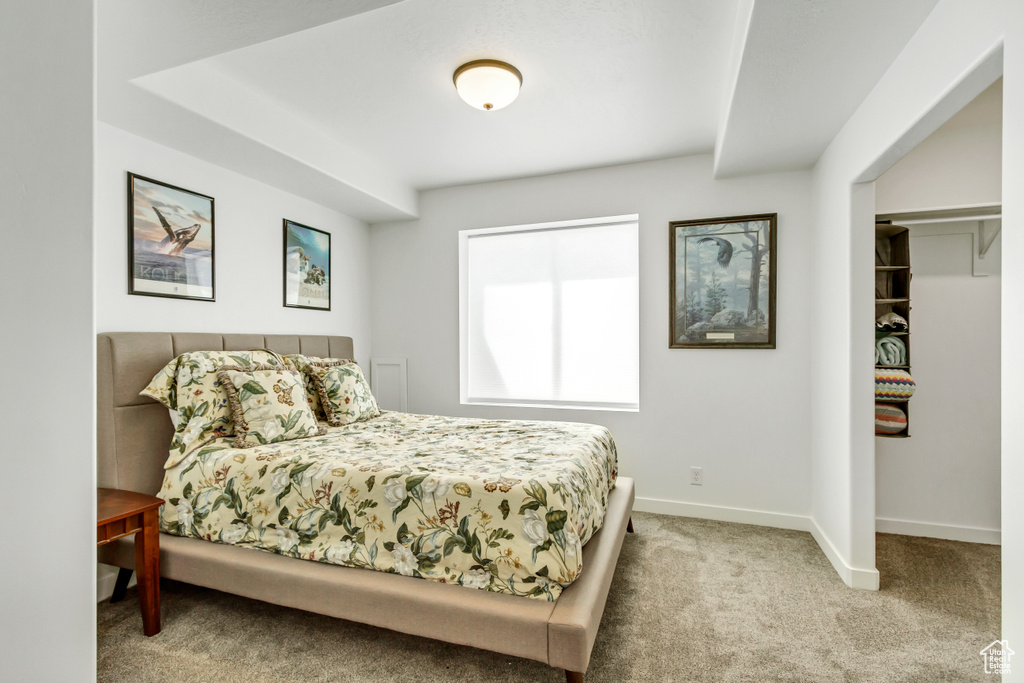 Bedroom featuring carpet