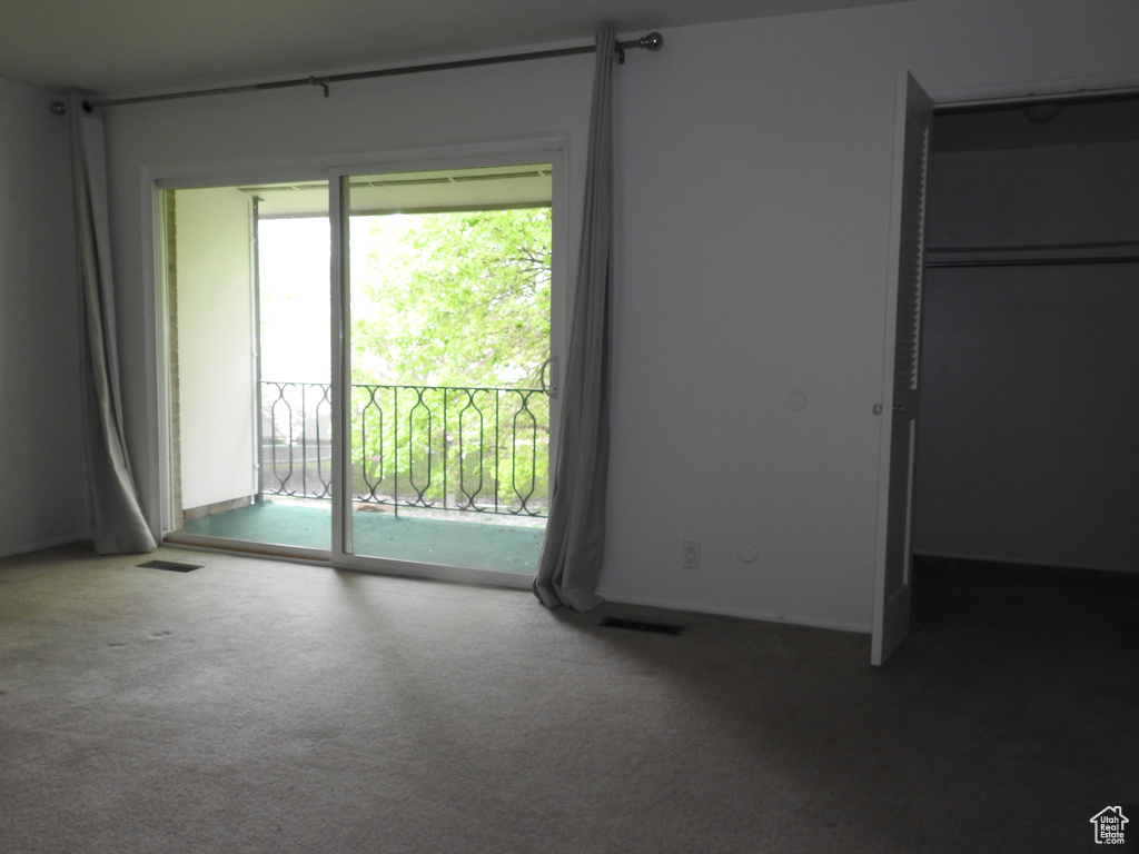 Unfurnished bedroom with a closet, carpet, access to exterior, and multiple windows