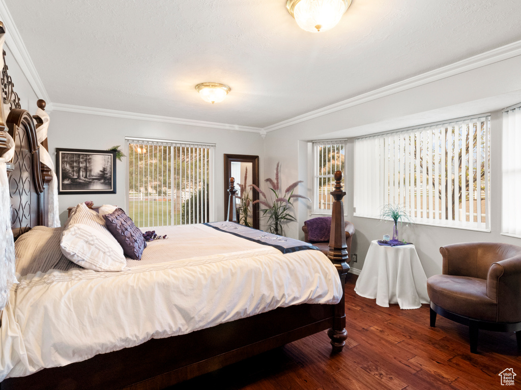 Bedroom featuring crown molding, dark hardwood / wood-style flooring, and multiple windows