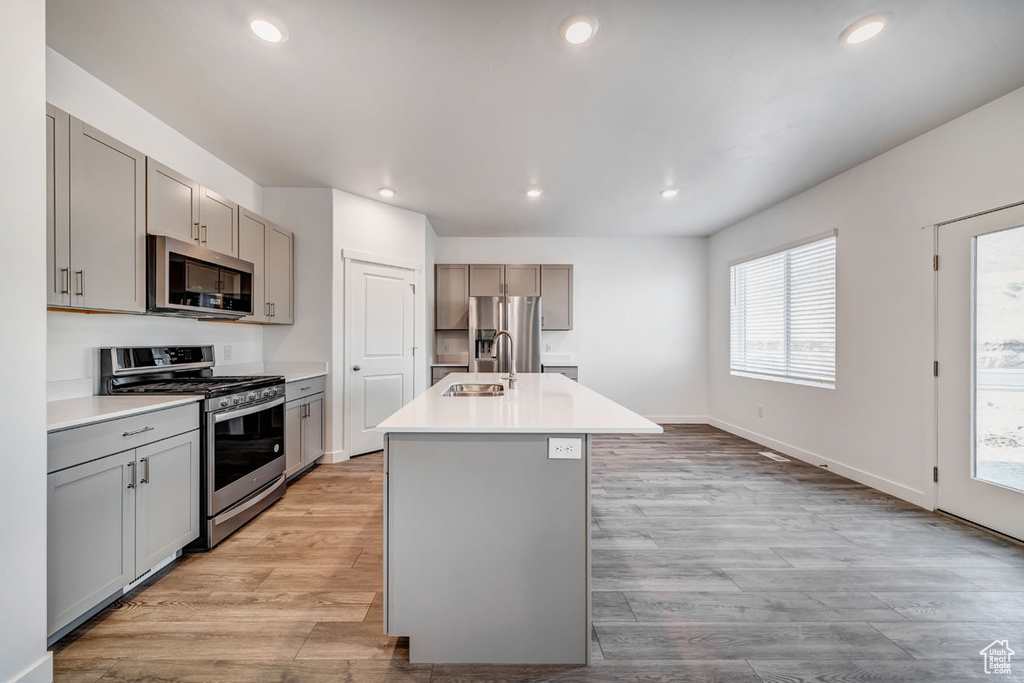 Kitchen featuring gray cabinetry, stainless steel appliances, light hardwood / wood-style floors, and a kitchen island with sink