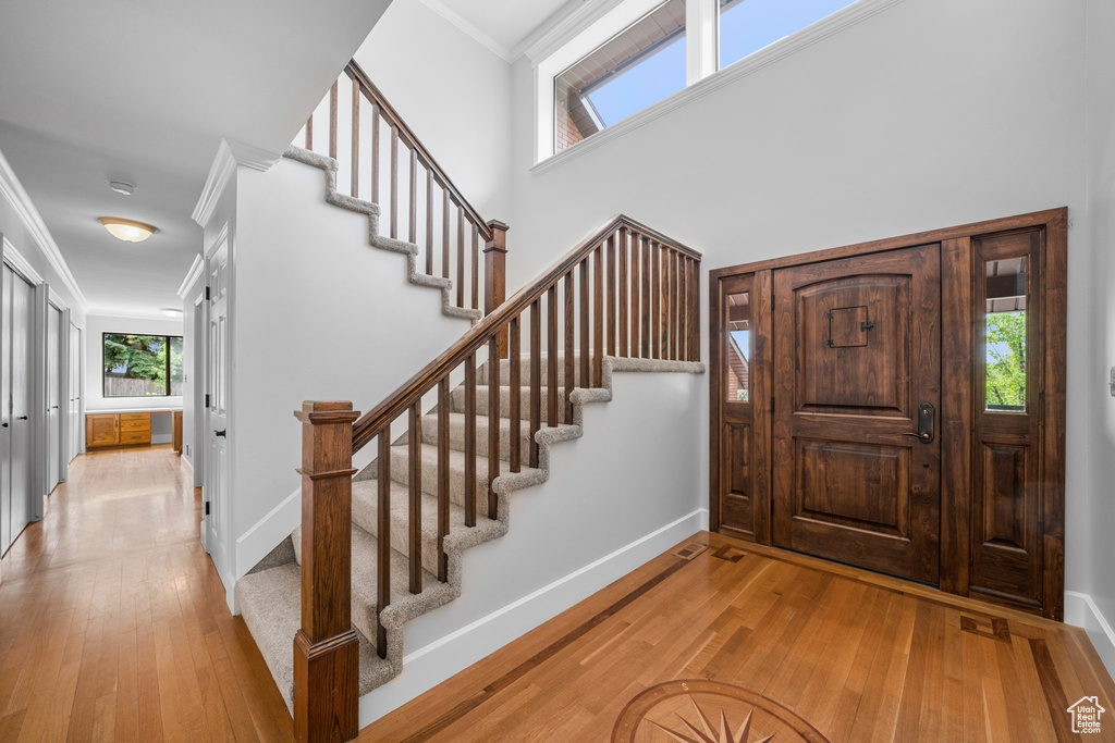 Foyer entrance featuring light hardwood / wood-style flooring, a wealth of natural light, a high ceiling, and ornamental molding