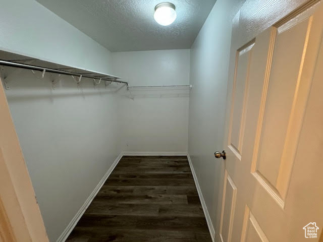 Walk in closet with dark wood-type flooring