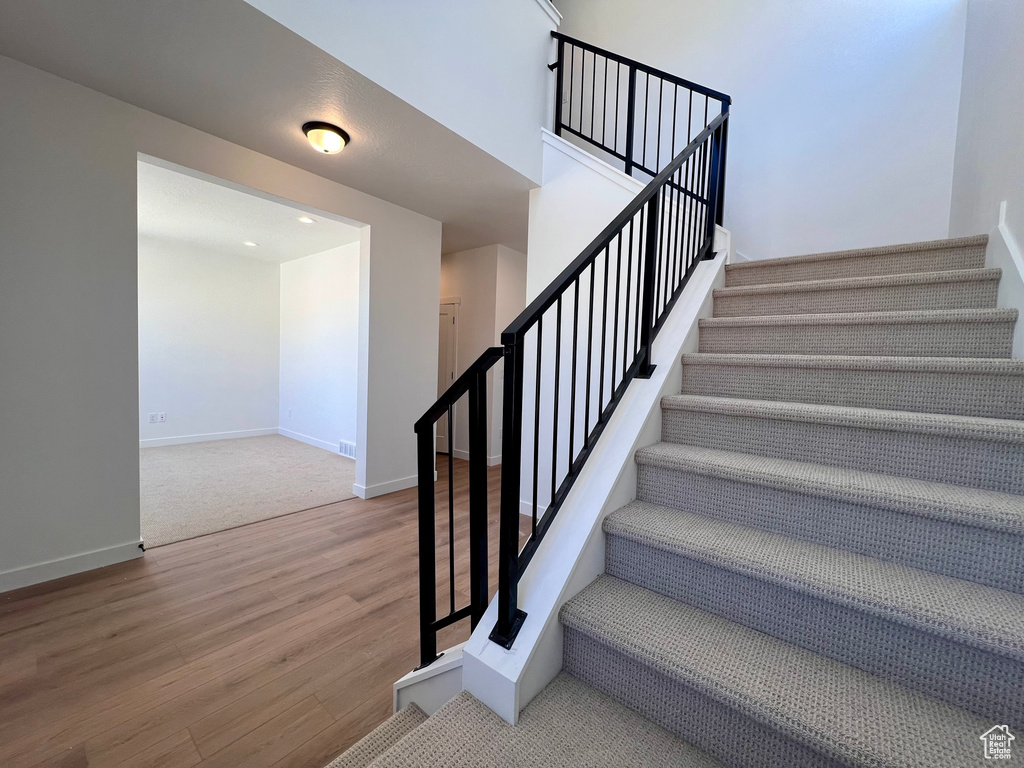 Staircase featuring carpet flooring