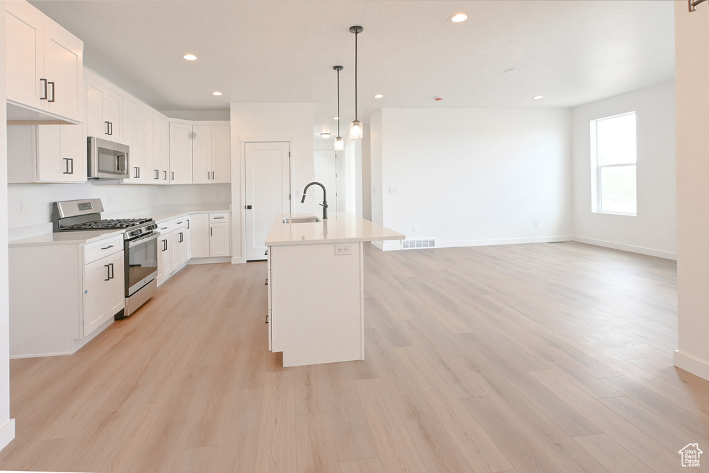 Kitchen featuring a kitchen island with sink, light hardwood / wood-style floors, sink, and stainless steel appliances
