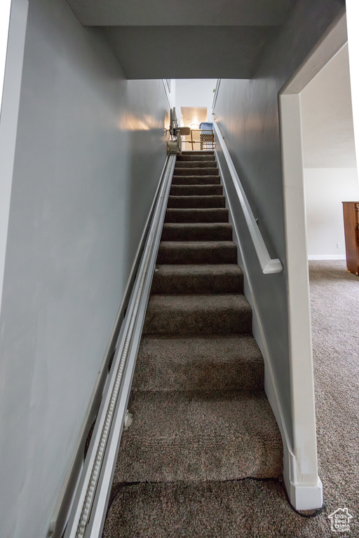 Stairway with carpet flooring