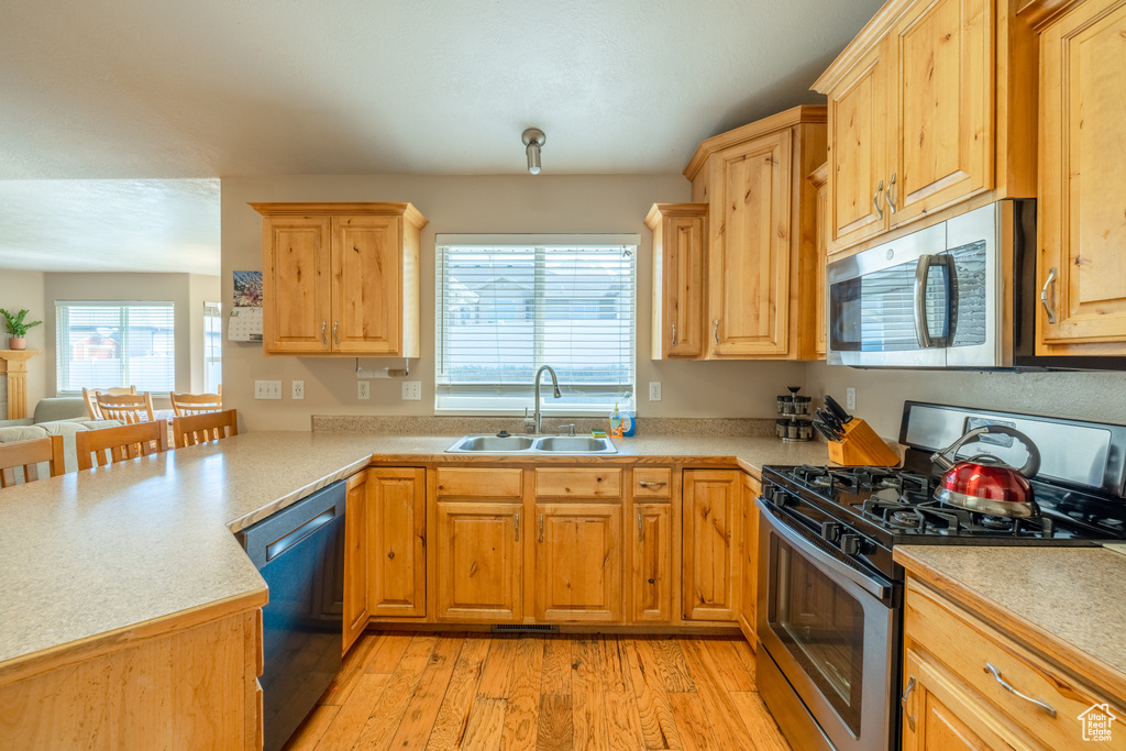 Kitchen featuring sink, light hardwood / wood-style flooring, and stainless steel appliances