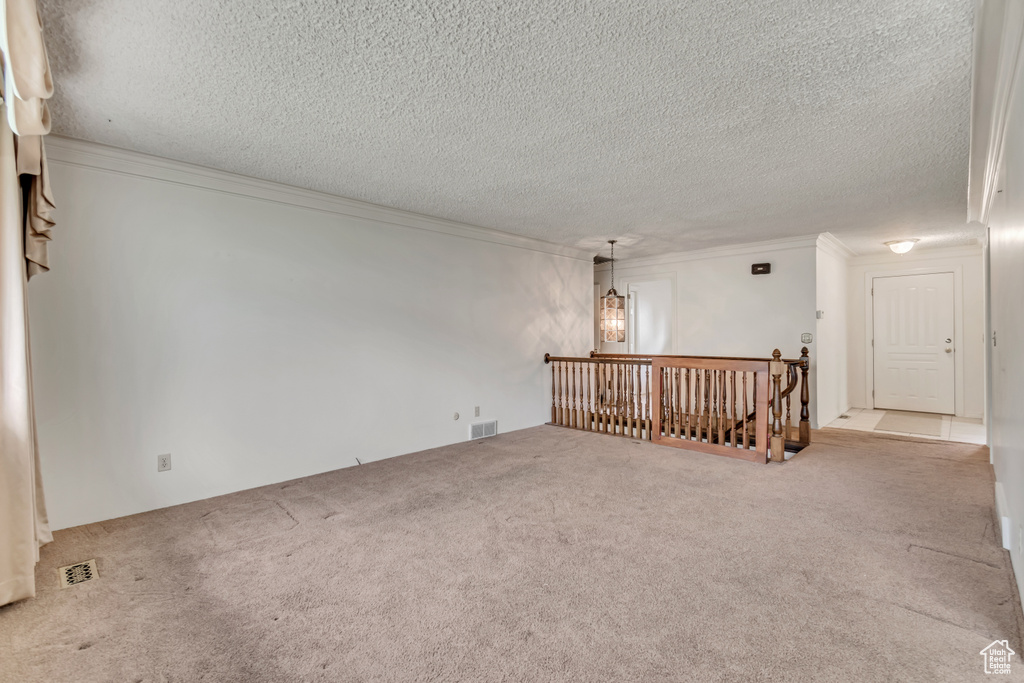 Unfurnished room with a textured ceiling, carpet, and ornamental molding