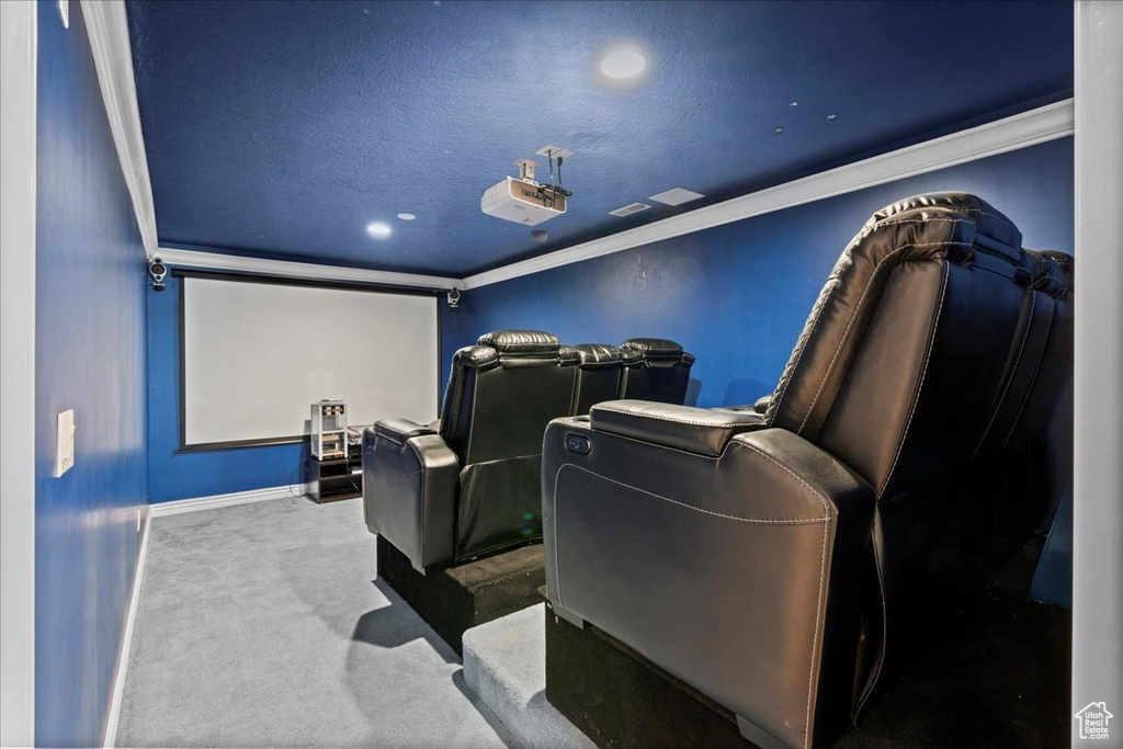 Cinema room with ornamental molding, carpet flooring, and a textured ceiling